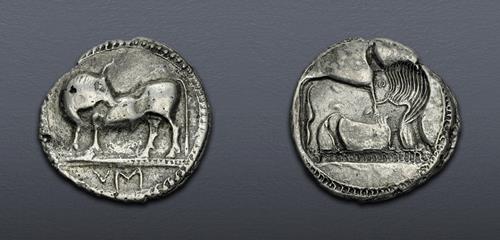 Lot 5073 image