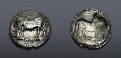 Lot 5074 image