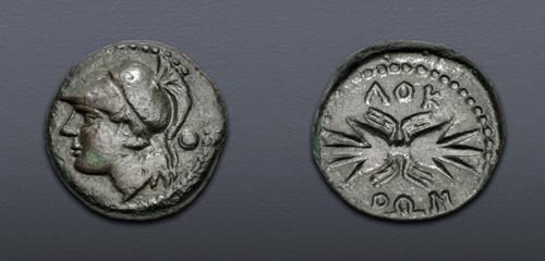 Lot 5082 image