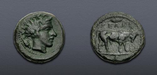 Lot 5097 image