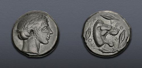 Lot 5101 image