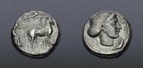 Lot 5109 image
