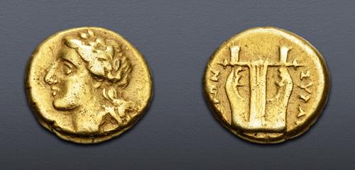 Lot 5114 image