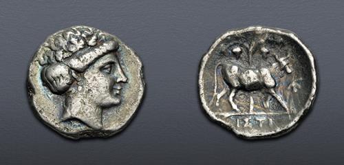 Lot 5249 image