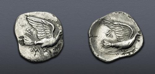 Lot 5309 image
