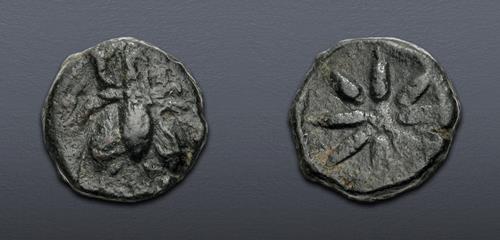 Lot 5340 image