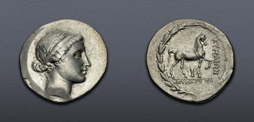 Lot 5376 image