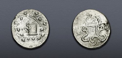 Lot 5392 image