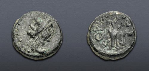 Lot 5467 image