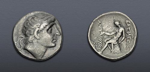 Lot 5558 image