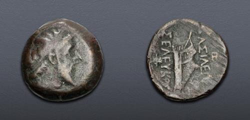 Lot 5560 image