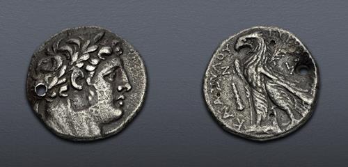 Lot 5619 image
