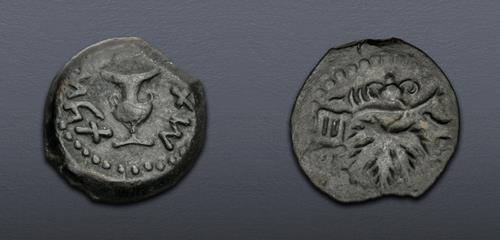 Lot 5635 image