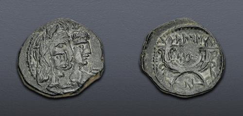 Lot 5647 image
