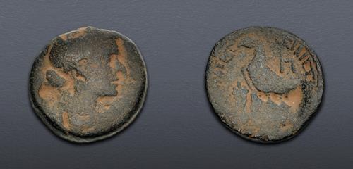 Lot 5668 image