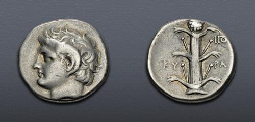 Lot 5671 image