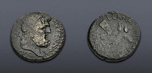 Lot 5737 image