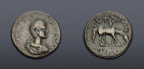 Lot 5754 image