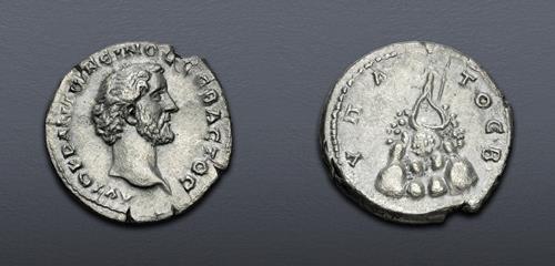 Lot 5789 image