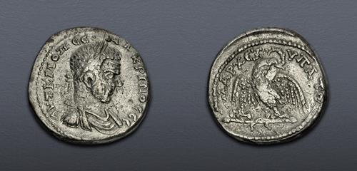 Lot 5795 image