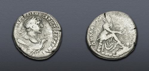 Lot 5806 image
