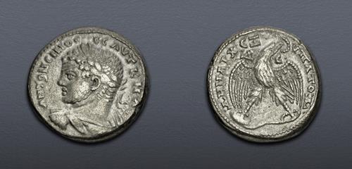 Lot 5808 image