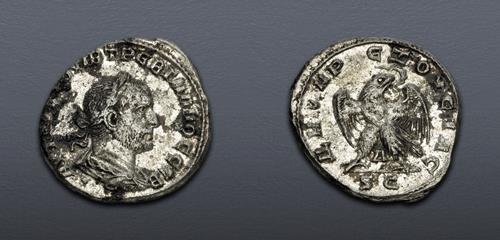 Lot 5818 image