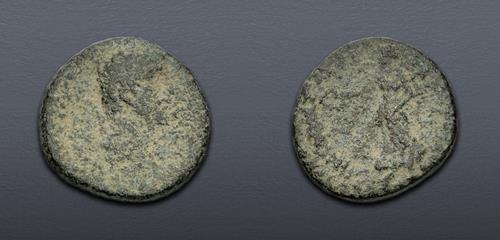 Lot 5838 image