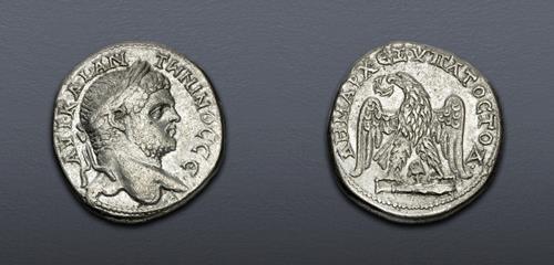 Lot 5845 image