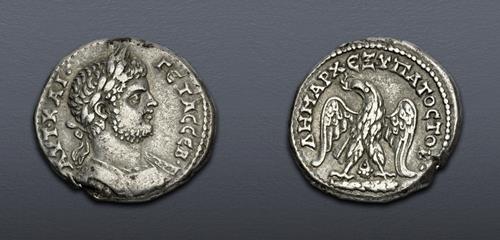 Lot 5846 image