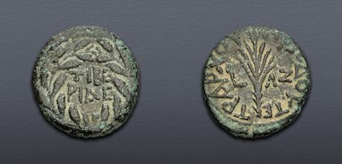 Lot 5849 image