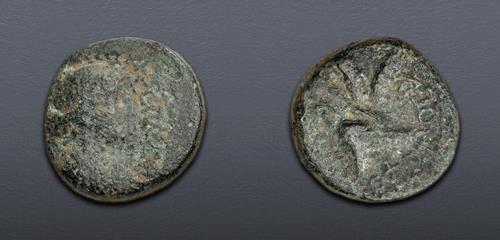 Lot 5850 image