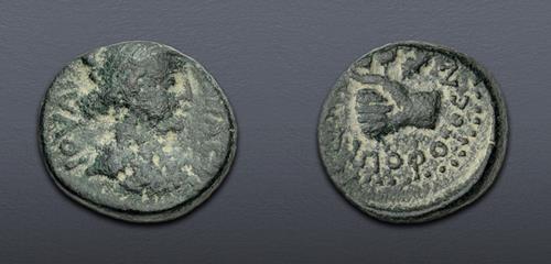 Lot 5851 image