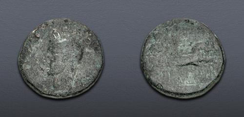 Lot 5855 image