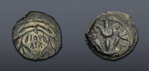 Lot 5861 image