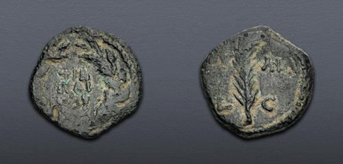 Lot 5862 image