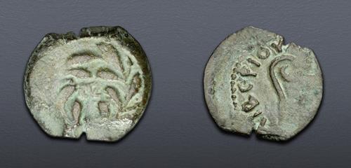 Lot 5863 image