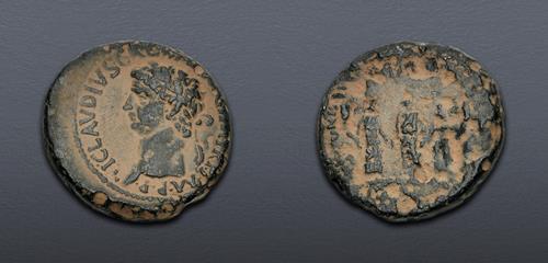 Lot 5864 image