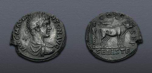 Lot 5871 image