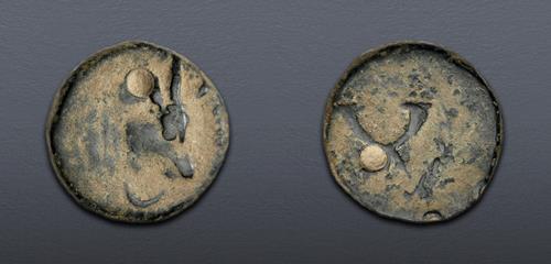 Lot 5881 image