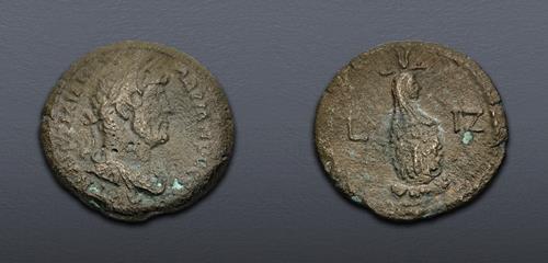 Lot 5884 image