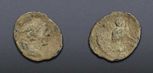 Lot 5893 image