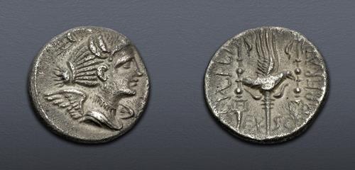 Lot 6025 image
