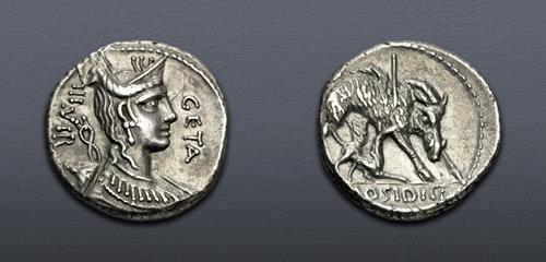 Lot 6036 image