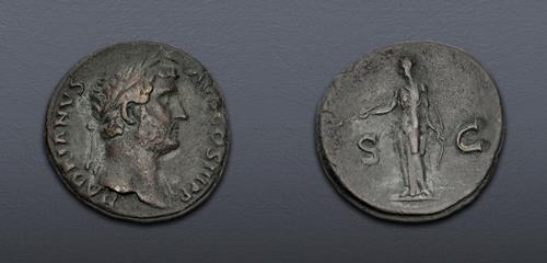 Lot 6196 image