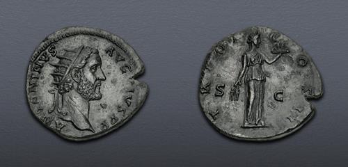 Lot 6202 image