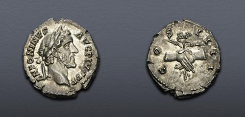 Lot 6203 image