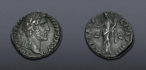 Lot 6204 image