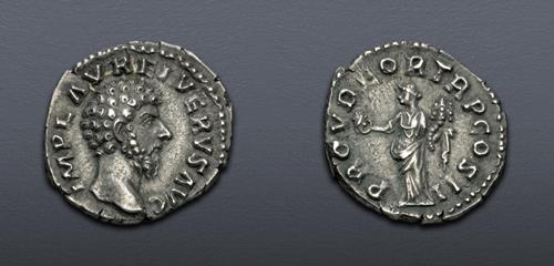 Lot 6220 image