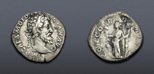 Lot 6228 image